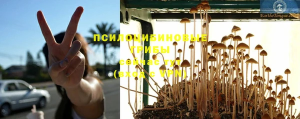 spice Белая Холуница