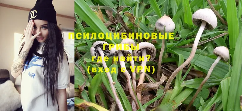 Псилоцибиновые грибы MAGIC MUSHROOMS  Каменск-Шахтинский 