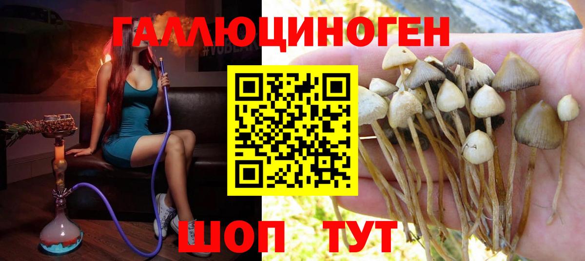 Галлюциногенные грибы ЛСД Каменск-Шахтинский