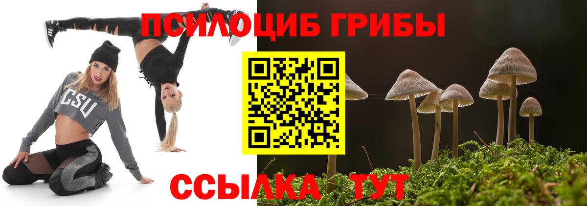 Каменск-Шахтинский  Галлюциногенные грибы ЛСД  Галлюциногенные грибы ЛСД  Вход с VPN 